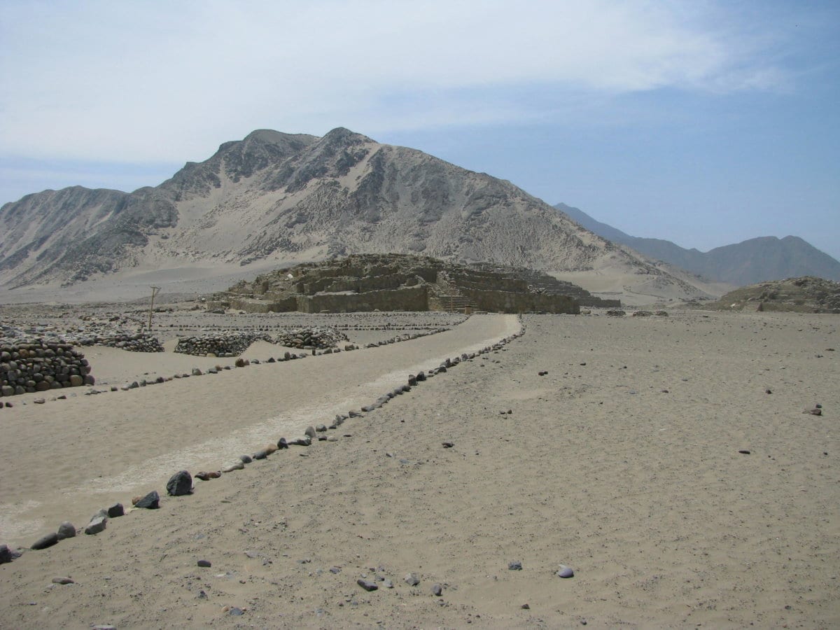 IMG 3727