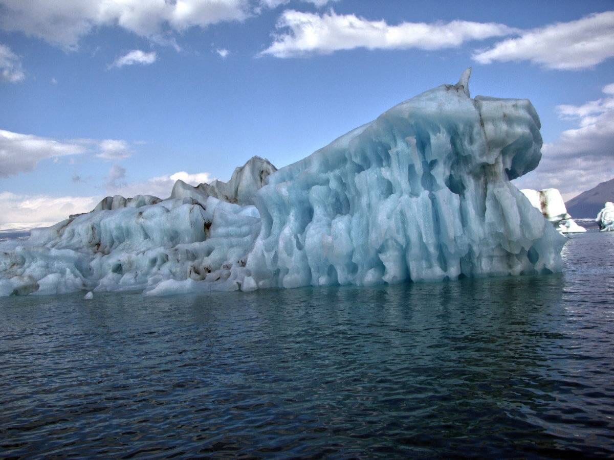 Iceberg Horn