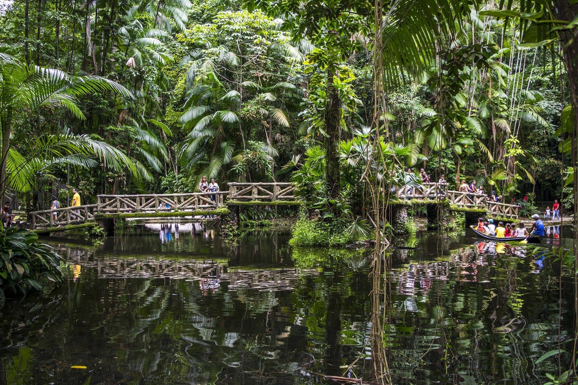amazon park